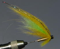 ���� �������� �� ���� ����� Skitle canary